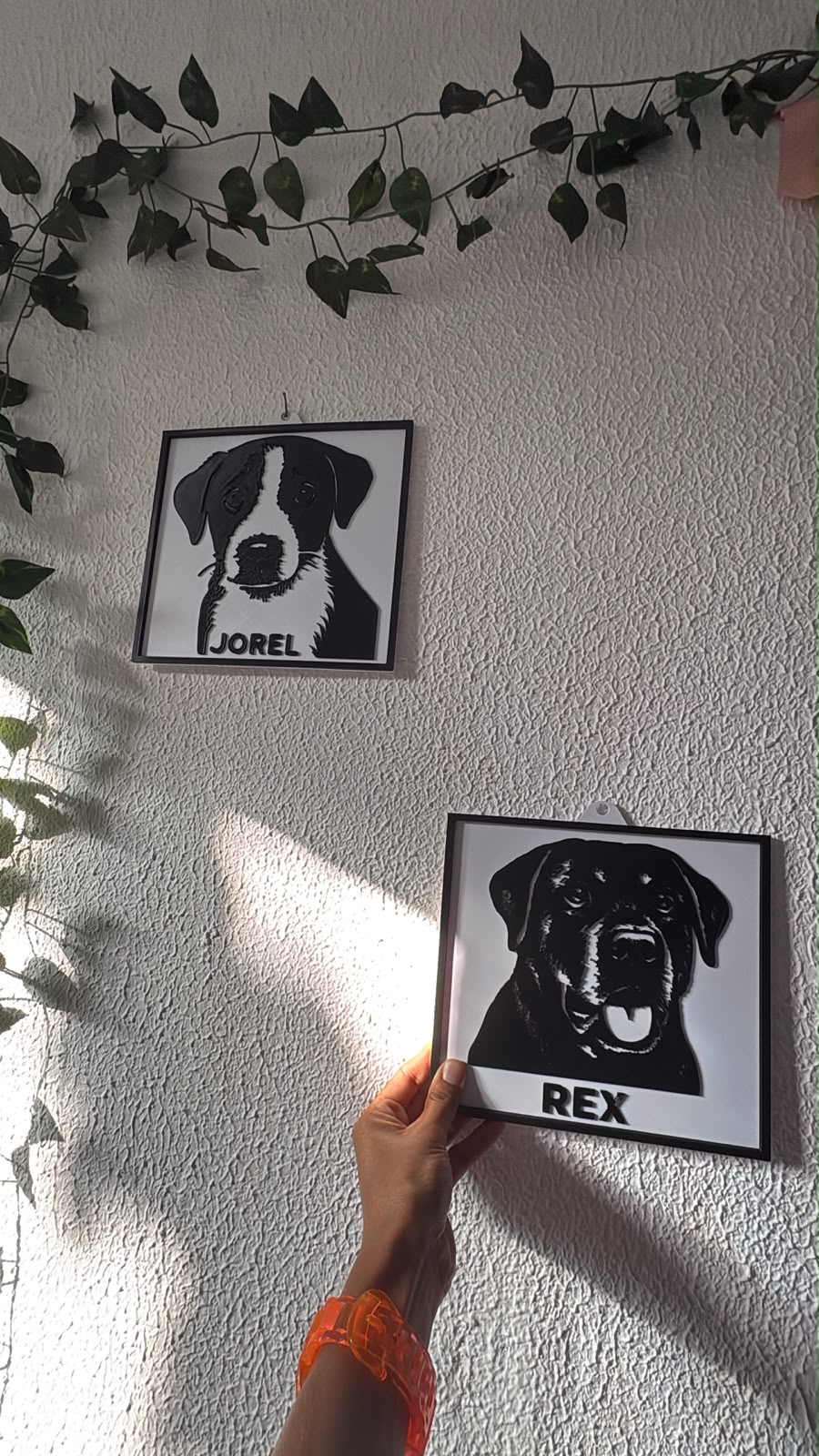 Dois quadros 3D reais de pets expostos na parede
